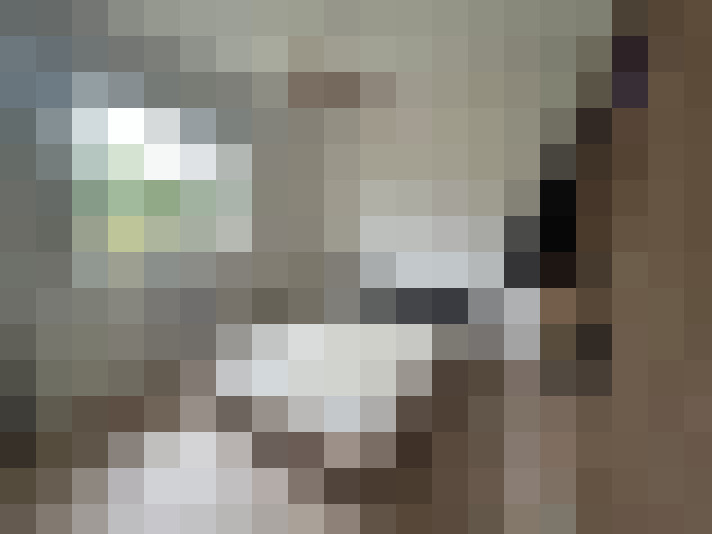  / #8