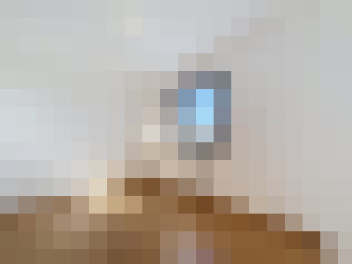  / #6
