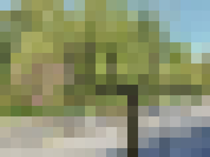  / #7