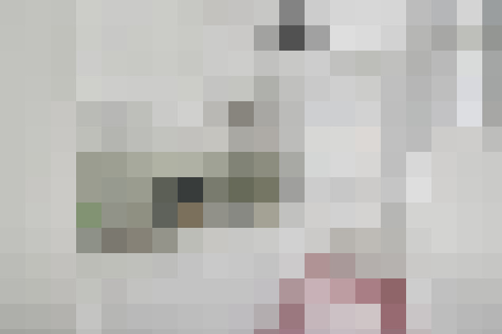  / #6