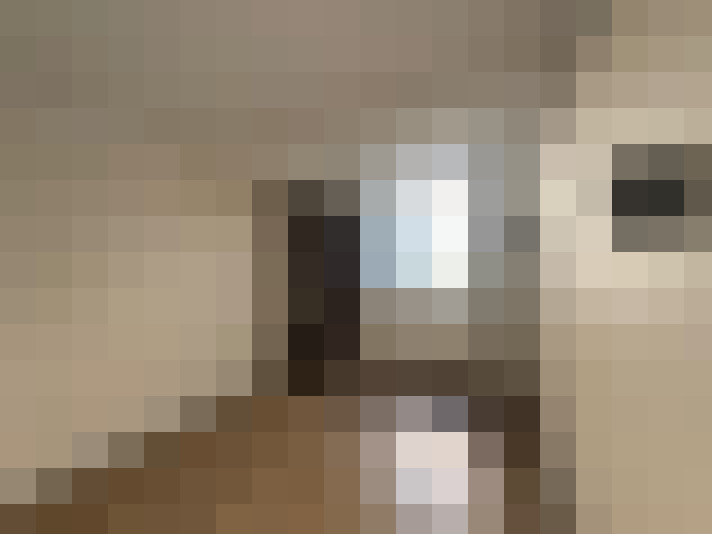  / #9