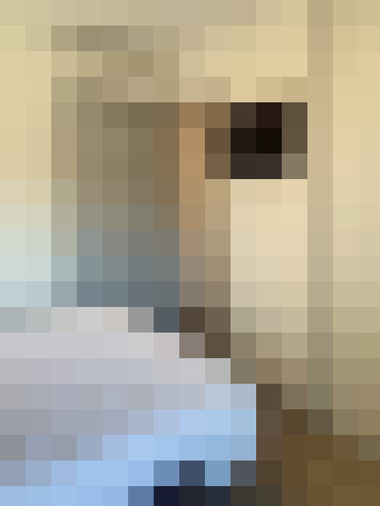  / #8