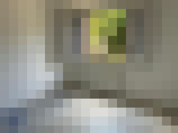  / #8