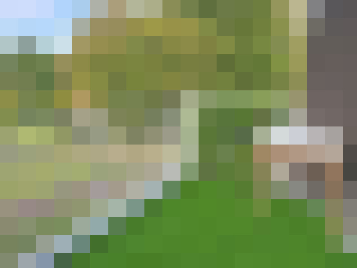  / #5