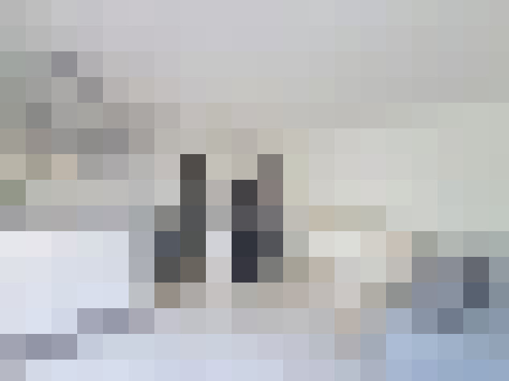  / #8
