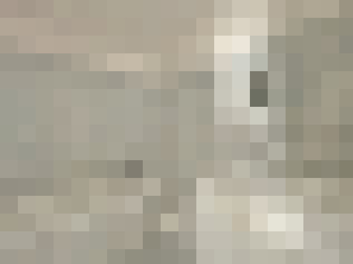  / #15