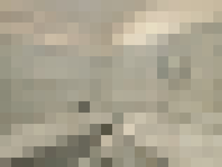  / #14