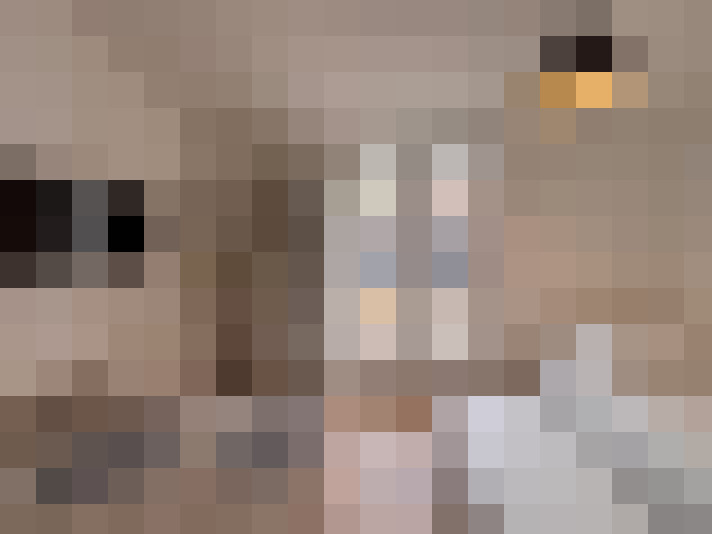  / #8