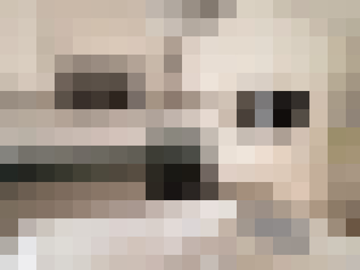  / #9