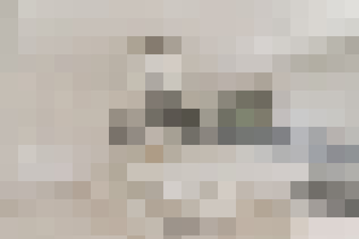  / #9