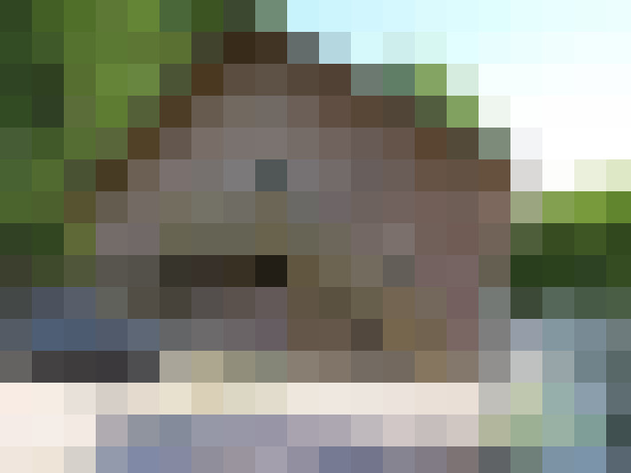  / #6