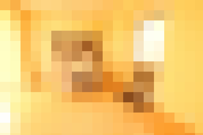  / #6