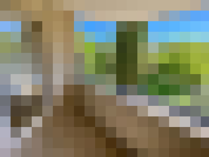  / #6