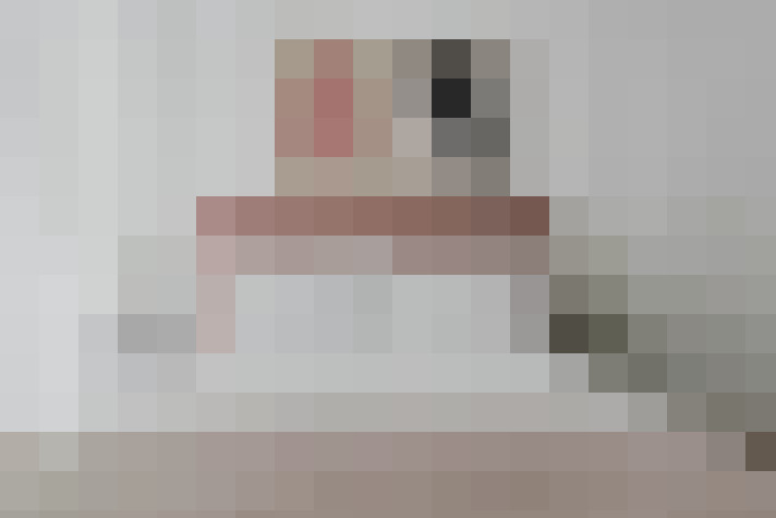  / #8