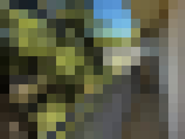  / #7