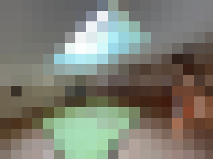  / #8