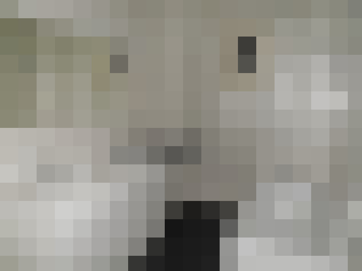 / #8