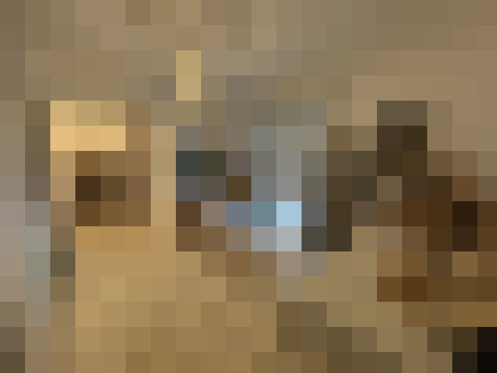  / #23