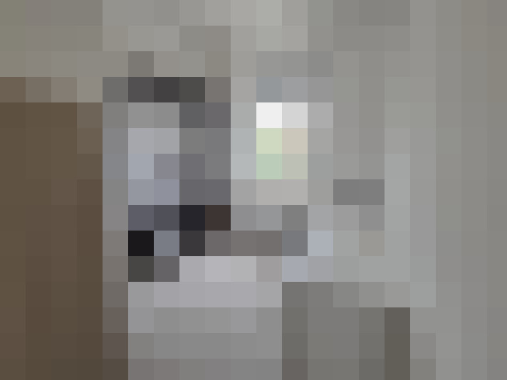  / #7