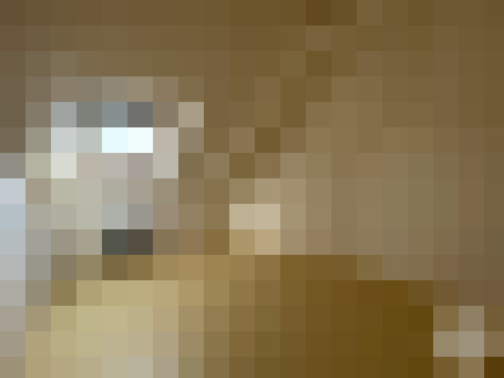  / #8