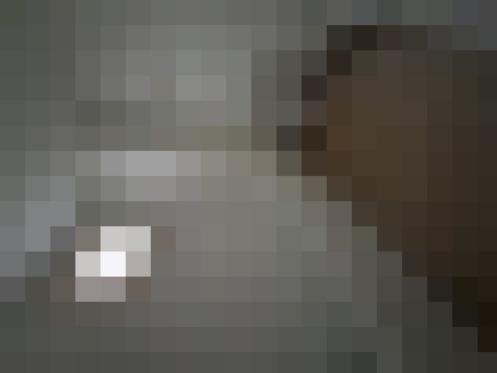  / #8