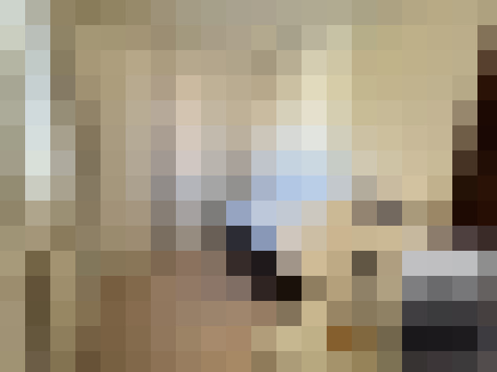  / #8