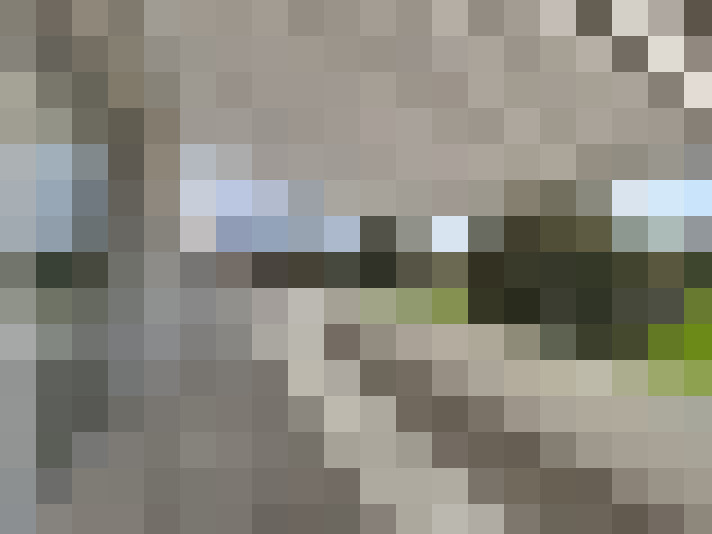  / #7
