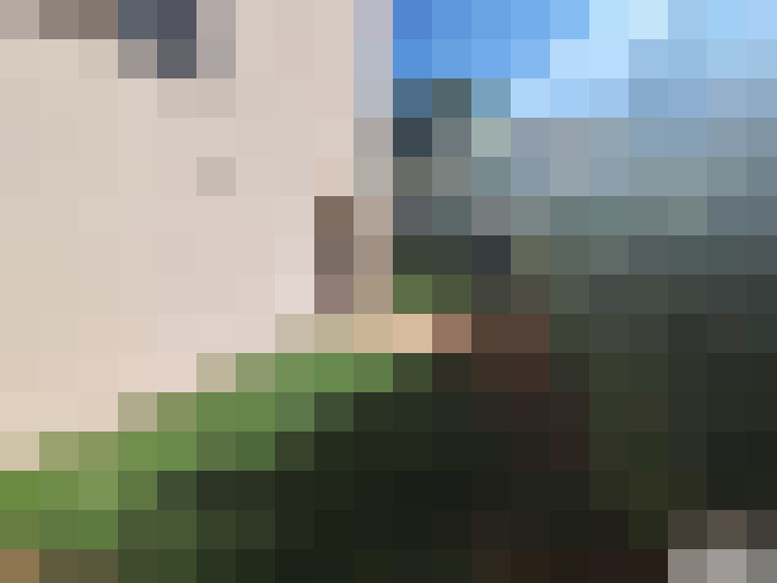  / #8