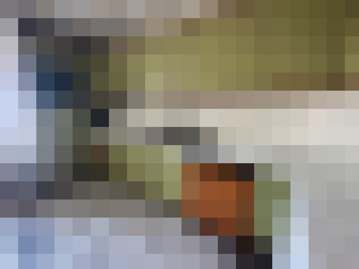  / #7