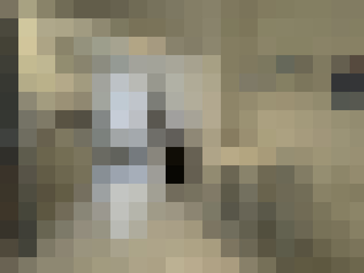  / #8