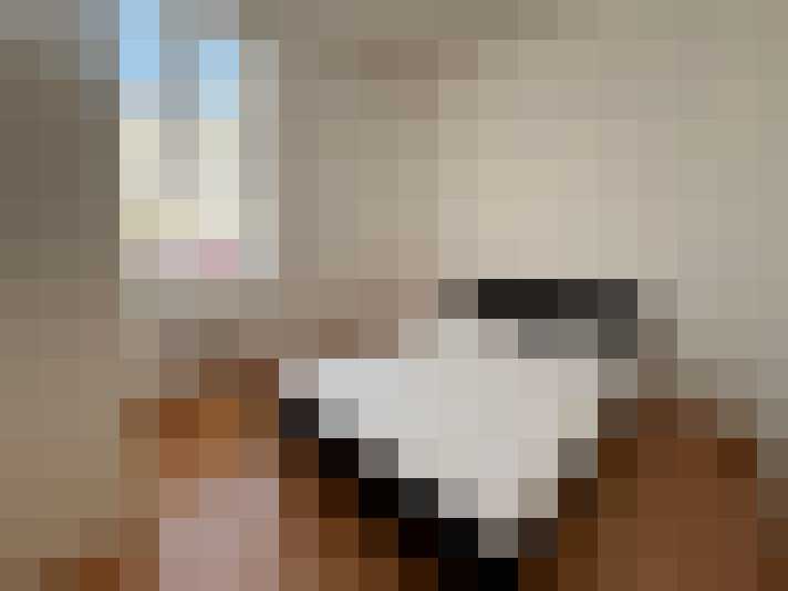  / #9