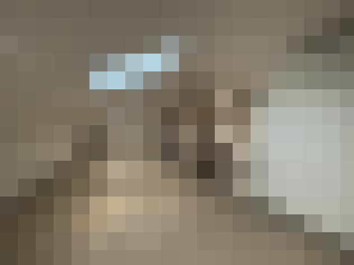  / #8