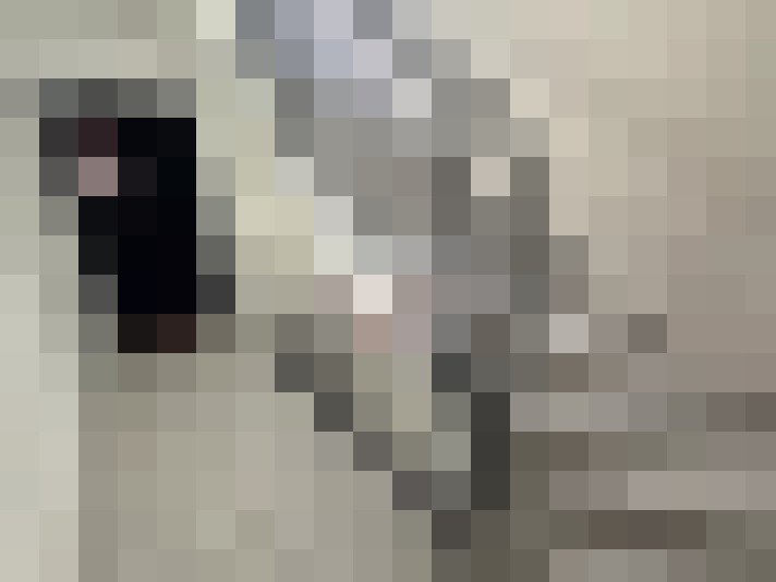  / #9