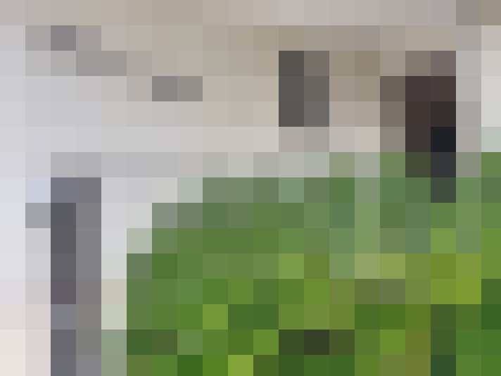  / #9