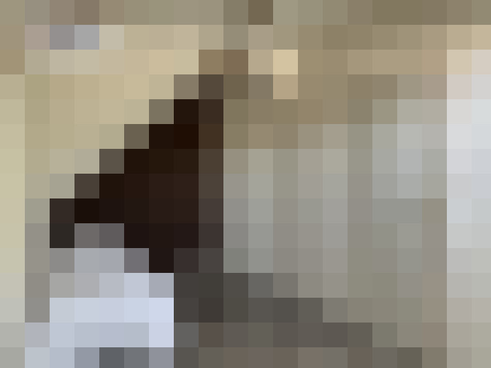  / #7