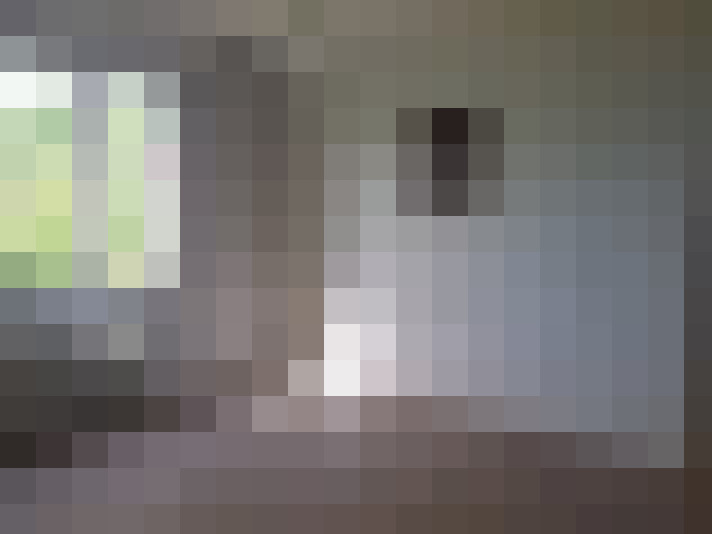  / #20