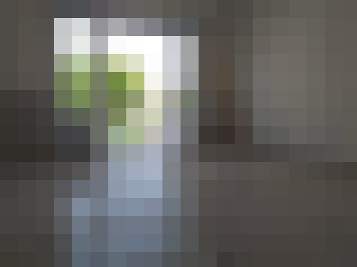  / #8