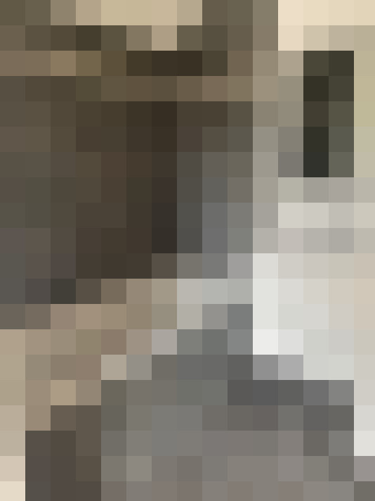  / #15