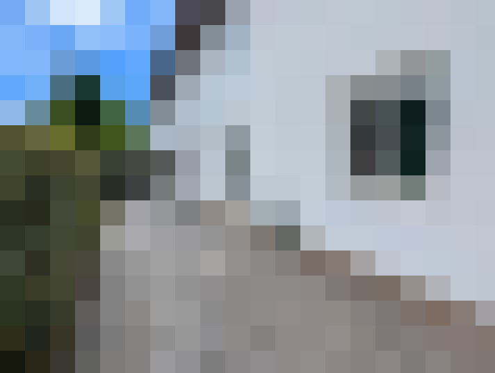  / #9