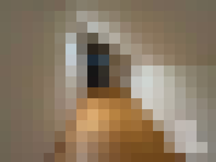  / #6