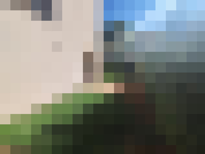  / #8