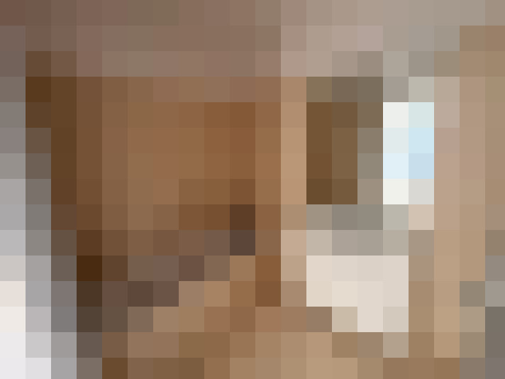  / #17