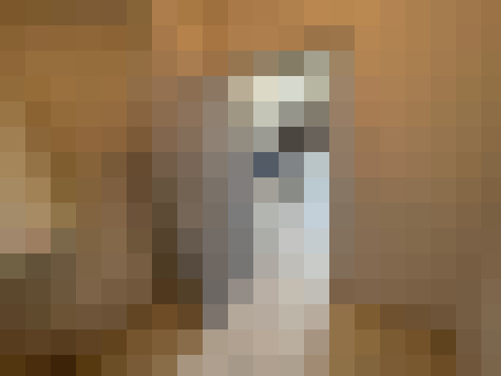  / #19