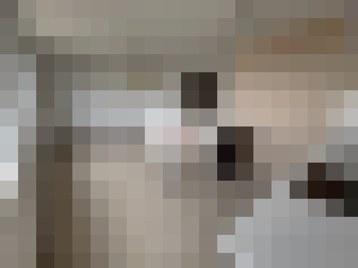  / #8