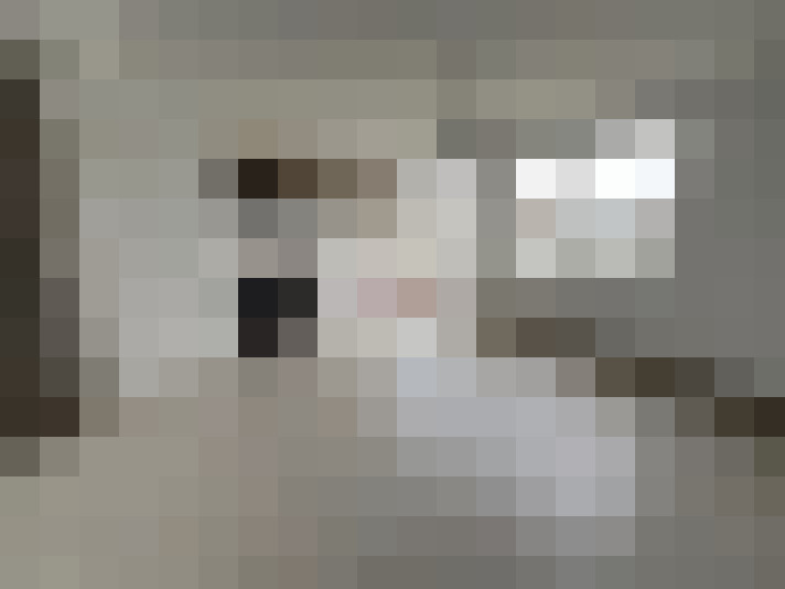  / #7