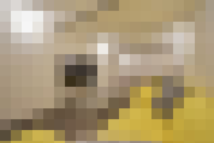  / #8
