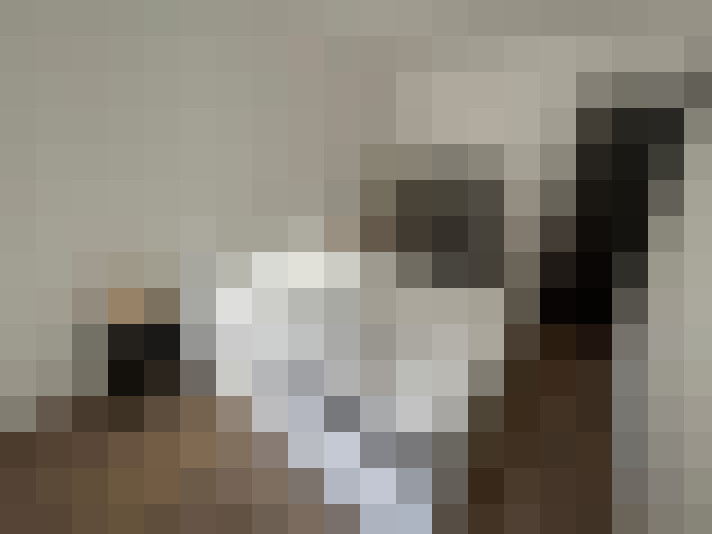  / #9