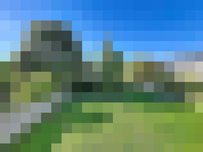  / #7