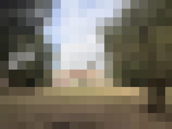  / #8