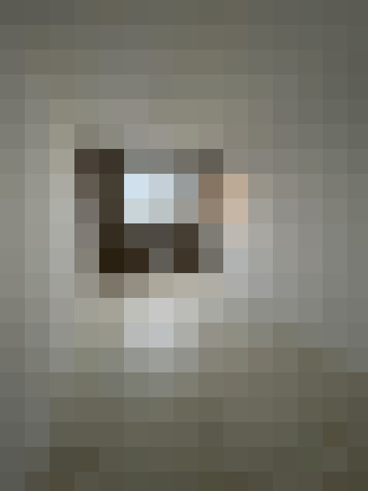  / #19